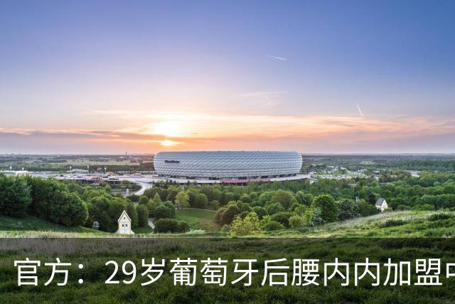 官方：29岁葡萄牙后腰内内加盟中超新军云南玉昆
